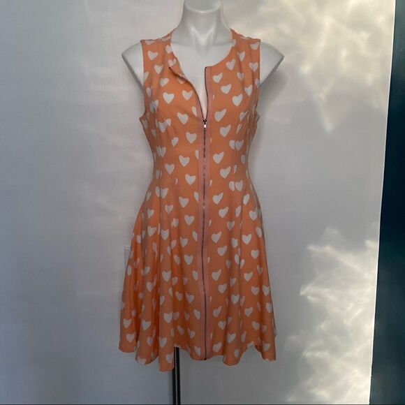 Pink Heart Zipper Front Valentines Day Dress Fit and Flare - Picture 1 of 13